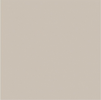 МС 21 Светло-серый  мат / полир