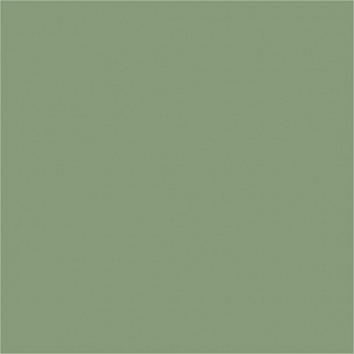 МС 15 Зеленый  мат / полир