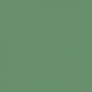 МС 05 Темно-зеленый  мат / полир