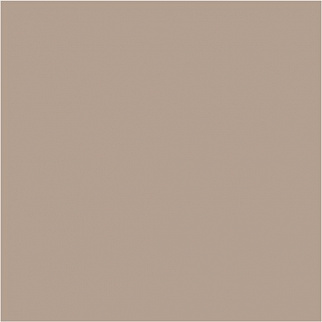 МС 62, 68 Кофе с молоком  мат / полир