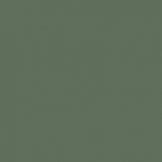 МС 25 Хаки  мат / полир