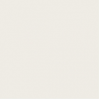 МС 10 Супер-белый  мат / полир